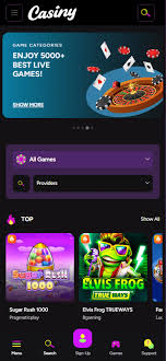 Discover the Exciting Features of Casiny App 11