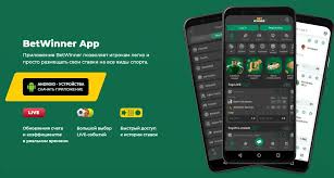Explore the BetWinner Platform A Comprehensive Guide Explore the BetWinner Platform A Comprehensive Guide