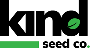 Exploring the Best Options for Marijuana Seeds Texas