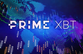 Step-by-Step Guide to Resetting Your PrimeXBT Account Step-by-Step Guide to Resetting Your PrimeXBT Account